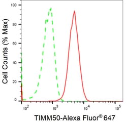 Invitrogen TIMM50 Recombinant Rabbit Monoclonal Antibody (24GB2670) 100