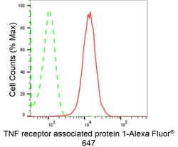 Invitrogen TRAP1 Recombinant Rabbit Monoclonal Antibody (24GB2560) 20 &mu;L;
