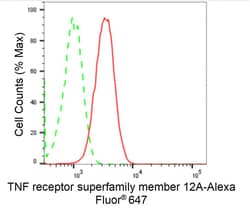 Invitrogen CD266 Recombinant Rabbit Monoclonal Antibody (24GB2070) 100
