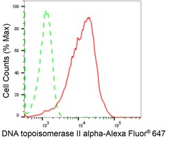 Invitrogen TOP2A Recombinant Rabbit Monoclonal Antibody (24GB1915):Antibodies:Primary