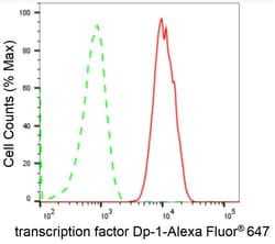 Invitrogen DP1 Recombinant Rabbit Monoclonal Antibody (24GB2685) 100 &mu;L;