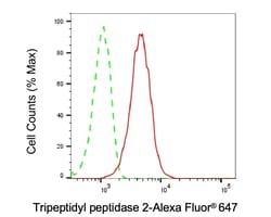 Invitrogen TPP2 Recombinant Rabbit Monoclonal Antibody (24GB2015) 20 &mu;L;