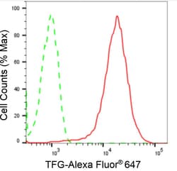 Invitrogen TRK fused gene Recombinant Rabbit Monoclonal Antibody (24GB2115)