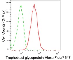 Invitrogen 5T4 Recombinant Rabbit Monoclonal Antibody (24GB1990):Antibodies:Primary