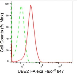 Invitrogen UBE2T Recombinant Rabbit Monoclonal Antibody (24GB2350):Antibodies:Primary