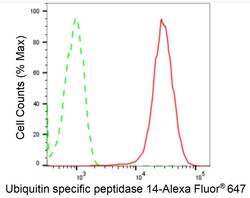 Invitrogen USP14 Recombinant Rabbit Monoclonal Antibody (24GB2190) 20 &mu;L;