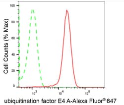 Invitrogen UBE4A Recombinant Rabbit Monoclonal Antibody (24GB1785) 100