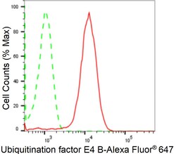 Invitrogen UBE4B Recombinant Rabbit Monoclonal Antibody (24GB1765) 20 &mu;L;