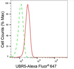 Invitrogen HYD Recombinant Rabbit Monoclonal Antibody (24GB2540) 20 &mu;L;