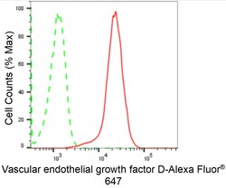 Invitrogen VEGFD Recombinant Rabbit Monoclonal Antibody (24GB1750) 100