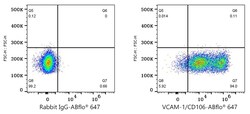 Invitrogen VCAM-1 Recombinant Rabbit Monoclonal Antibody (6I8W2) 100 &mu;L;