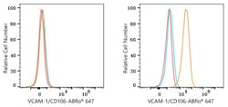 Invitrogen VCAM-1 Recombinant Rabbit Monoclonal Antibody (6I8W2) 100 &mu;L;