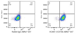 Invitrogen VCAM-1 Recombinant Rabbit Monoclonal Antibody (6I8W2) 100 &mu;L;