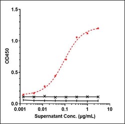 Invitrogen Tafasitamab Recombinant Monoclonal Antibody 1 mg; Unconjugated:Antikörper