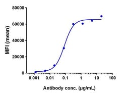 Invitrogen Tafasitamab Recombinant Monoclonal Antibody 1 mg; Unconjugated:Antikörper