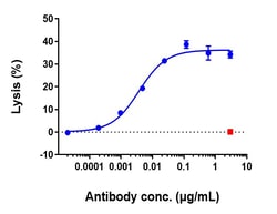 Invitrogen Rituximab Recombinant Monoclonal Antibody 1 mg; Unconjugated:Antibodies,