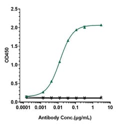 Invitrogen Rituximab Recombinant Monoclonal Antibody 1 mg; Unconjugated:Antibodies,