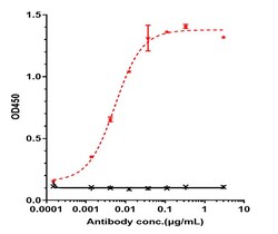 Invitrogen Obinutuzumab Recombinant Monoclonal Antibody 100 &mu;g; Unconjugated:Anticorps,