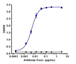 Invitrogen Naratuximab Recombinant Monoclonal Antibody 1 mg; Unconjugated:Antikörper