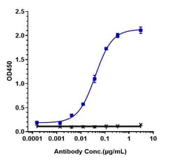 Invitrogen Telisotuzumab Recombinant Monoclonal Antibody 1 mg; Unconjugated:Anticorps,