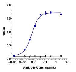 Invitrogen Pamrevlumab Recombinant Monoclonal Antibody 1 mg:Antibodies,
