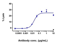 Invitrogen Bemarituzumab Recombinant Monoclonal Antibody 100 &mu;g; Unconjugated:Antibodies,