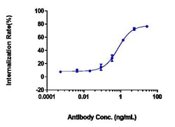 Invitrogen Farletuzumab Recombinant Monoclonal Antibody 1 mg; Unconjugated:Antikörper