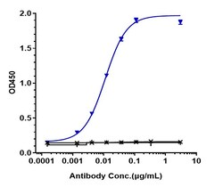 Invitrogen Mirvetuximab Recombinant Monoclonal Antibody 100 &mu;g:Antibodies,