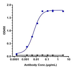 Invitrogen Trastuzumab Recombinant Monoclonal Antibody 100 &mu;g; Unconjugated:Antibodies,