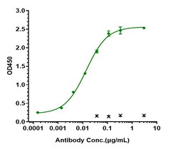 Invitrogen Pertuzumab Recombinant Monoclonal Antibody:Antibodies:Primary