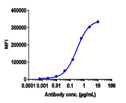 Invitrogen Pertuzumab Recombinant Monoclonal Antibody 100 &mu;g; Unconjugated:Antibodies,
