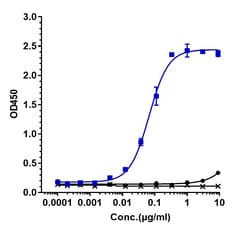 Invitrogen LIF Biosimilar Recombinant Monoclonal Antibody 100 &mu;g; Unconjugated:Antibodies,