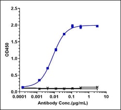 Invitrogen Camrelizumab Recombinant Monoclonal Antibody 100 &mu;g:Antibodies,