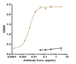 Invitrogen Pembrolizumab Recombinant Monoclonal Antibody:Antibodies:Primary