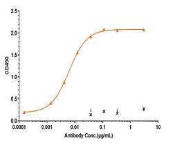 Invitrogen Durvalumab Recombinant Monoclonal Antibody:Antibodies:Primary