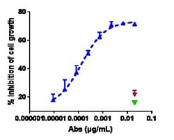 Invitrogen Zilovertamab Recombinant Monoclonal Antibody 100 &mu;g; Unconjugated:Antibodies,