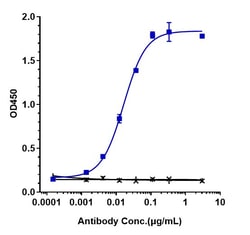 Invitrogen Tiragolumab Recombinant Monoclonal Antibody 100 &mu;g; Unconjugated:Antibodies,