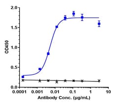 Invitrogen Bimagrumab Recombinant Monoclonal Antibody:Anticorps:Anticorps