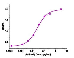 Invitrogen Cinpanemab Recombinant Monoclonal Antibody:Antibodies:Primary