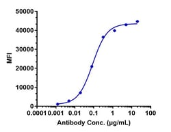 Invitrogen K-cadherin Biosimilar Recombinant Monoclonal Antibody 1 mg;