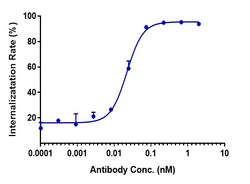 Invitrogen K-cadherin Biosimilar Recombinant Monoclonal Antibody:Antibodies:Primary