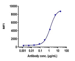 Invitrogen Belantamab Recombinant Monoclonal Antibody 1 mg; Unconjugated:Antibodies,