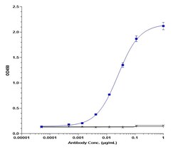 Invitrogen Bleselumab Recombinant Monoclonal Antibody 1 mg; Unconjugated:Antibodies,