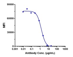 Invitrogen Bleselumab Recombinant Monoclonal Antibody 1 mg; Unconjugated:Antibodies,