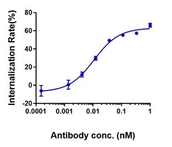 Invitrogen Claudin 6 Biosimilar Recombinant Monoclonal Antibody 1 mg; Unconjugated:Antibodies,