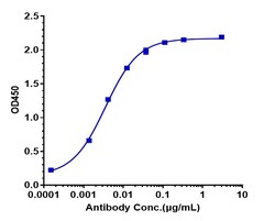Invitrogen Citatuzumab Recombinant Monoclonal Antibody 1 mg; Unconjugated:Antikörper