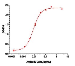 Invitrogen Glembatumumab Recombinant Monoclonal Antibody 100 &mu;g; Unconjugated:Antibodies,