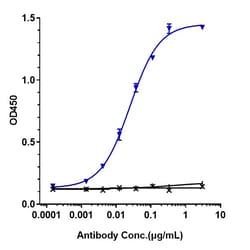 Invitrogen Rilotumumab Recombinant Monoclonal Antibody:Antibodies:Primary