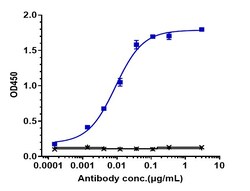 Invitrogen Guselkumab Recombinant Monoclonal Antibody 100 &mu;g; Unconjugated:Antibodies,