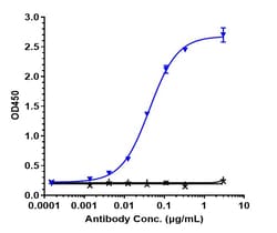 Invitrogen IL-8 Biosimilar Recombinant Monoclonal Antibody 1 mg:Antibodies,